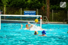 17.05.2025_Wasserballspiel-26